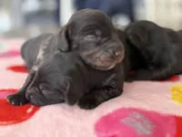 processed/893bedf4-e431-41f6-8dc5-d004872620f3/listing/11b11777-c517-4f50-8f8e-3d811ed02e1f/b6a18bc3-05ee-464a-91ba-8d516fcbd986