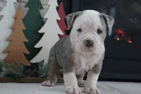 processed/8941c94a-d32c-437e-85e9-14bfbe50c89d/listing/6c6655a0-8d50-4960-94fd-7da178902de4/0dfa577c-e5f3-4cdd-ae0d-ca1825a68cdd