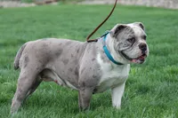 processed/8941c94a-d32c-437e-85e9-14bfbe50c89d/listing/6c6655a0-8d50-4960-94fd-7da178902de4/c77791c8-1684-4adc-a6c5-bc5e51e076c3