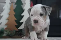 processed/8941c94a-d32c-437e-85e9-14bfbe50c89d/listing/6c6655a0-8d50-4960-94fd-7da178902de4/dd90dcca-b6bc-4666-9988-07977a3bcc36