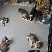 processed/894f31ce-6fce-4bf6-adf2-e139664b85a2/facility/1c4b2c3a-06b4-4c7c-8b17-986b10817855