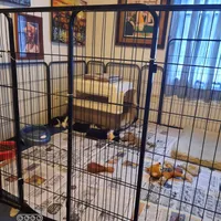 processed/894f31ce-6fce-4bf6-adf2-e139664b85a2/facility/2a2febef-9971-4149-8958-4d5b8a957618