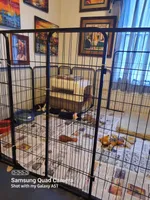 processed/894f31ce-6fce-4bf6-adf2-e139664b85a2/facility/2a2febef-9971-4149-8958-4d5b8a957618