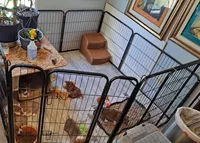 processed/894f31ce-6fce-4bf6-adf2-e139664b85a2/facility/3d71c0ea-7356-4eb8-a7fd-14f73ef4a495