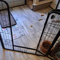 processed/894f31ce-6fce-4bf6-adf2-e139664b85a2/facility/55f5eabc-29c3-4232-9015-26e2009f4af7