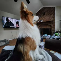 processed/894f31ce-6fce-4bf6-adf2-e139664b85a2/facility/57035529-2123-4dee-b04a-823ad4eee41b