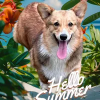 processed/894f31ce-6fce-4bf6-adf2-e139664b85a2/facility/60878311-7ec6-47e3-85da-8ae4a6e0d642