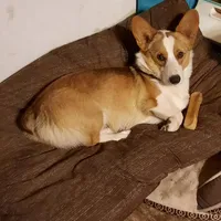 processed/894f31ce-6fce-4bf6-adf2-e139664b85a2/facility/c71ca989-b215-4d10-b391-561329bda5cb