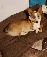 processed/894f31ce-6fce-4bf6-adf2-e139664b85a2/facility/c71ca989-b215-4d10-b391-561329bda5cb