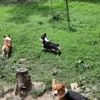 processed/894f31ce-6fce-4bf6-adf2-e139664b85a2/facility/c94e6a92-3ec0-4a11-964e-63bbccf77b55