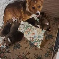 processed/894f31ce-6fce-4bf6-adf2-e139664b85a2/facility/fe62e492-db6a-42cf-a3c3-ca6c123e838b