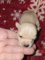 processed/89568538-ac44-4e3d-8fad-01ed1029b16f/listing/4951f376-9d22-48ac-9d2c-fb92e1411bb8/16f5b03a-b2b5-4d41-b290-4756f8a513c7