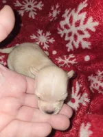 processed/89568538-ac44-4e3d-8fad-01ed1029b16f/listing/4951f376-9d22-48ac-9d2c-fb92e1411bb8/325d0e9c-5402-402a-ac1a-8cb879cc8d9d