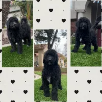 processed/89597a6c-b889-4d49-8504-b5f5909b18b2/listing/3240cc1a-9872-4ddd-96b6-d8d2623146e6/eca6045c-ab97-4421-a1e8-94176bc95501