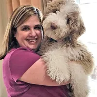 Tuxedo A, a female Goldendoodle for sale in Kankakee, IL – Photo 2 of 3