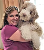 AB/TUX A, a female Goldendoodle for sale in Kankakee, IL – Photo 2 of 2