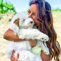 White Male B, a male Goldendoodle for sale in Kankakee, IL – Photo 2 of 5