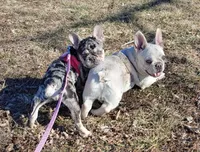 processed/899a470a-6a00-4114-98a4-41da62d85f15/facility/03cbcf08-7072-410a-b5f0-241b812f1088