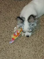 processed/899a470a-6a00-4114-98a4-41da62d85f15/facility/57cfbfc2-faa5-4a78-a77f-4786fbff855a