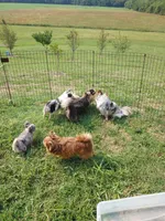 processed/899a470a-6a00-4114-98a4-41da62d85f15/facility/b250e902-b57c-43d3-b976-fff2b416702d