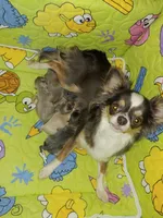 processed/899a470a-6a00-4114-98a4-41da62d85f15/facility/daac999b-c230-4346-b10b-80b935050ff0