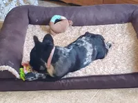 processed/899a470a-6a00-4114-98a4-41da62d85f15/facility/e20435a7-e530-4031-86ed-902823404587