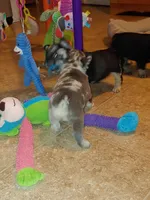 processed/899a470a-6a00-4114-98a4-41da62d85f15/facility/e32de965-a0db-41fb-a6de-38e1033c9993