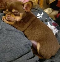 processed/899a470a-6a00-4114-98a4-41da62d85f15/facility/e51d1fba-e44c-442c-8410-447cb12ce030