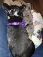 processed/899a470a-6a00-4114-98a4-41da62d85f15/facility/e5aa2146-7f9d-4d1c-ab89-81b076b3393f