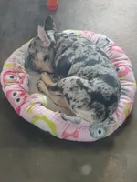 processed/899a470a-6a00-4114-98a4-41da62d85f15/facility/e6fef770-8657-4a20-a10d-2e989d39e05b