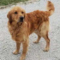 processed/899cd958-89c8-4413-810b-b3a3109d58b4/facility/179c85f1-4e7d-4967-ae47-a0bf5daf5161