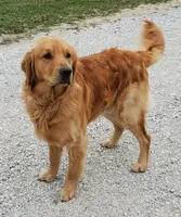 processed/899cd958-89c8-4413-810b-b3a3109d58b4/facility/179c85f1-4e7d-4967-ae47-a0bf5daf5161