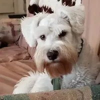 processed/899cd958-89c8-4413-810b-b3a3109d58b4/facility/2cd0d35a-9c0e-4b45-9f52-273da731c8c7