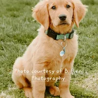 processed/899cd958-89c8-4413-810b-b3a3109d58b4/facility/3da6d639-ad09-4a05-83db-5fa909783c44