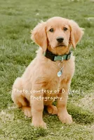 processed/899cd958-89c8-4413-810b-b3a3109d58b4/facility/3da6d639-ad09-4a05-83db-5fa909783c44