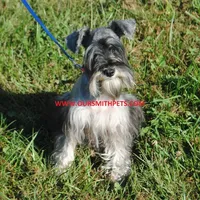 processed/899cd958-89c8-4413-810b-b3a3109d58b4/facility/66344fa5-ccf0-4786-ab29-db47b998063e