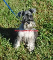 processed/899cd958-89c8-4413-810b-b3a3109d58b4/facility/66344fa5-ccf0-4786-ab29-db47b998063e