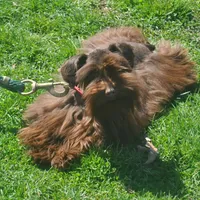 processed/899cd958-89c8-4413-810b-b3a3109d58b4/facility/73c7debd-b410-4463-b80d-9c951f647d57