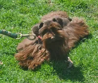 processed/899cd958-89c8-4413-810b-b3a3109d58b4/facility/73c7debd-b410-4463-b80d-9c951f647d57