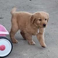 processed/899cd958-89c8-4413-810b-b3a3109d58b4/facility/ca206efb-a12f-4079-b269-f5db735aaba7