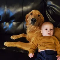 processed/899cd958-89c8-4413-810b-b3a3109d58b4/facility/f0a340d5-5df5-448d-a688-cd20f67d75c9