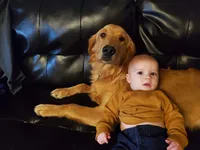 processed/899cd958-89c8-4413-810b-b3a3109d58b4/facility/f0a340d5-5df5-448d-a688-cd20f67d75c9