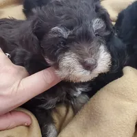 processed/899cd958-89c8-4413-810b-b3a3109d58b4/facility/f545f9d6-71d1-49e6-aafc-e72ed1b8ef70