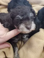 processed/899cd958-89c8-4413-810b-b3a3109d58b4/facility/f545f9d6-71d1-49e6-aafc-e72ed1b8ef70