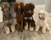 processed/89ac0131-ebe1-4437-9b84-afd12c5b7db9/facility/27fc5029-ac88-4672-8cf3-80b214ddce2a