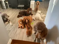 processed/89ac0131-ebe1-4437-9b84-afd12c5b7db9/facility/66f770e5-050c-4bdd-a3b7-cc2296caccc5