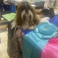 processed/89ac6b42-e51a-4800-8e35-88edabb6fe69/facility/10697da3-28ee-488f-b71f-cb3bcbb65405