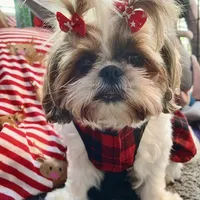 processed/89ac6b42-e51a-4800-8e35-88edabb6fe69/facility/1394b79d-c309-40eb-9576-ccaf4e5f2e3e