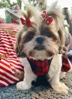 processed/89ac6b42-e51a-4800-8e35-88edabb6fe69/facility/1394b79d-c309-40eb-9576-ccaf4e5f2e3e