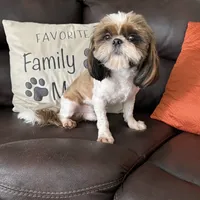 processed/89ac6b42-e51a-4800-8e35-88edabb6fe69/facility/6ab2e5fe-ea3f-49a0-91cc-5767d59ab155